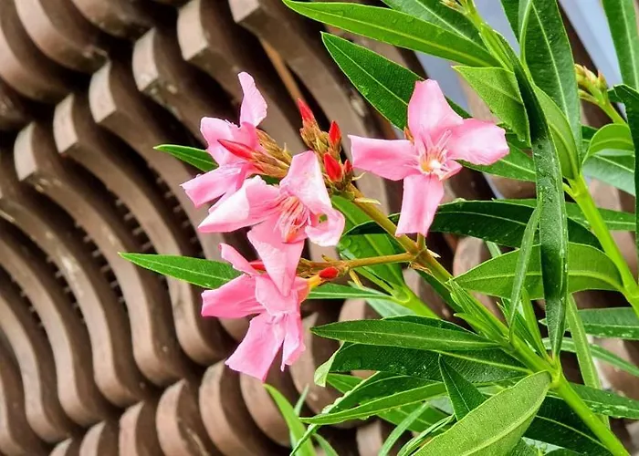 Varga Gardens Ferienhaus Balatonmáriafürdő